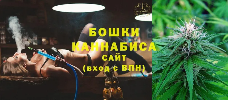 Канабис OG Kush  Прохладный 